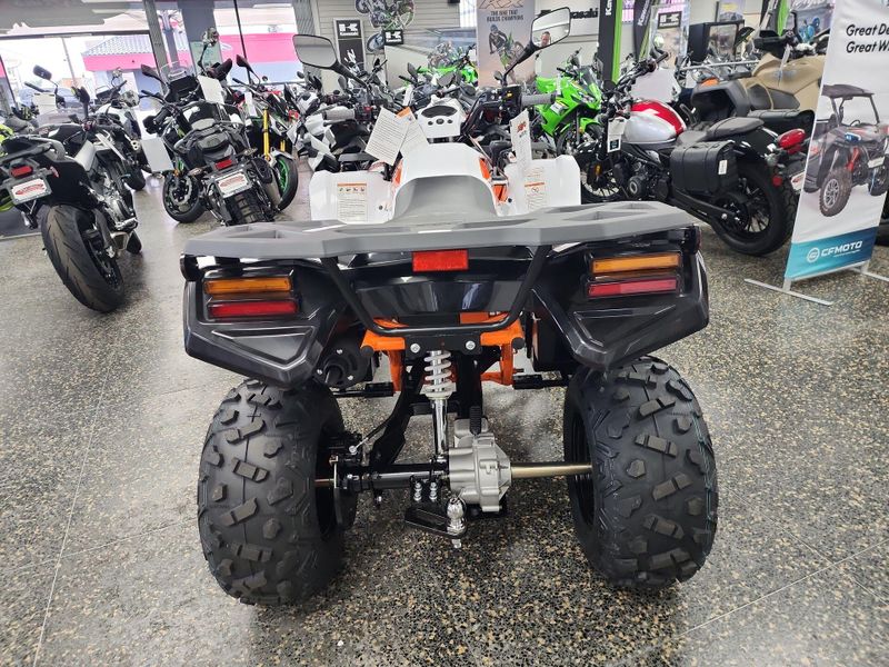 New 2026 Kayo BULL 300 EFI Image 13