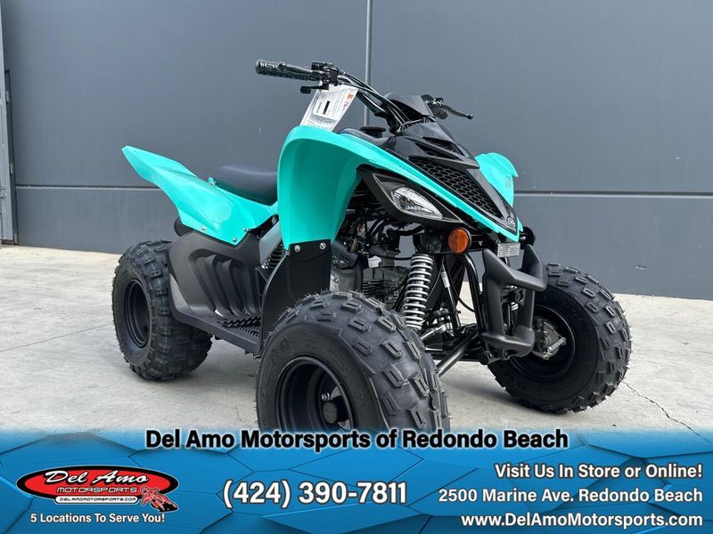 2025 Yamaha RAPTOR 110 Image 9