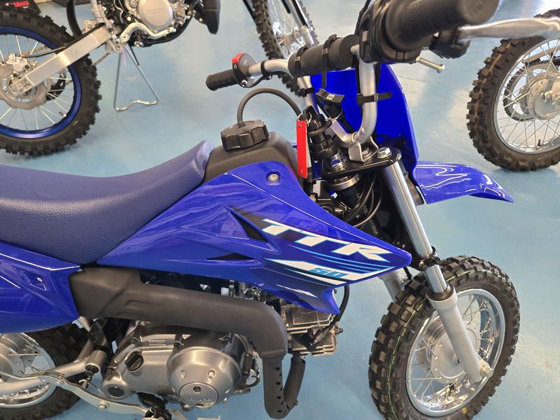 2025 Yamaha TTR 50E TEAM BLUE Image 8