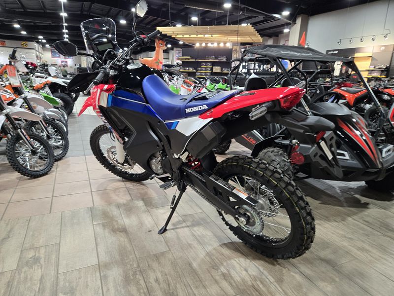 NEW 2025 HONDA CRF300L RALLY ABS Image 7