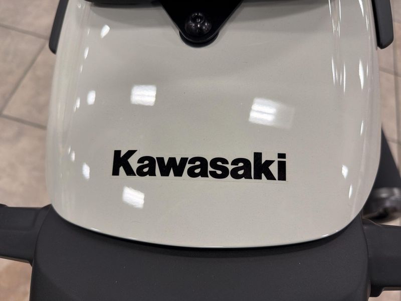 New 2026 Kawasaki Eliminator Image 26
