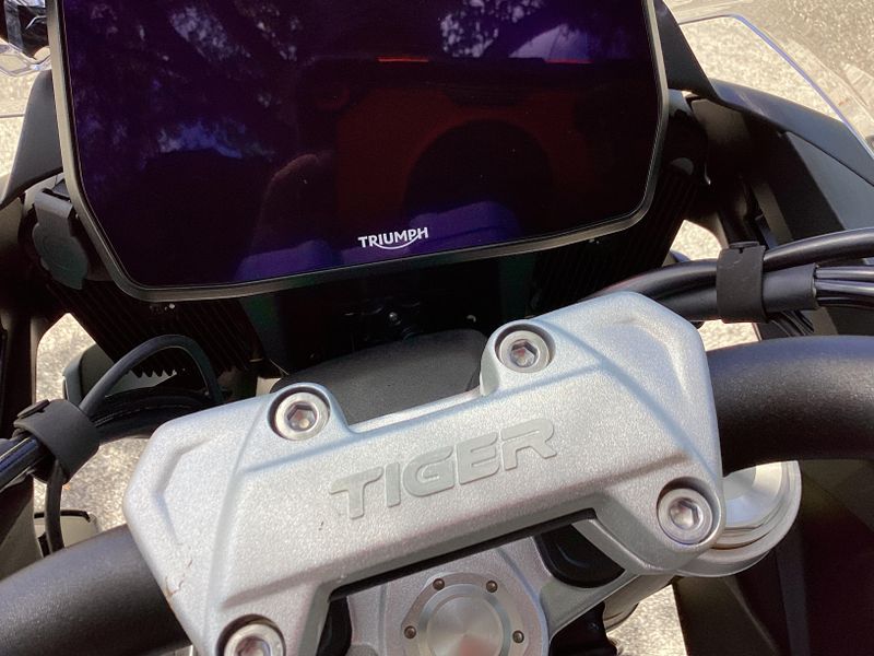 2025 Triumph Tiger 1200 Rally Pro