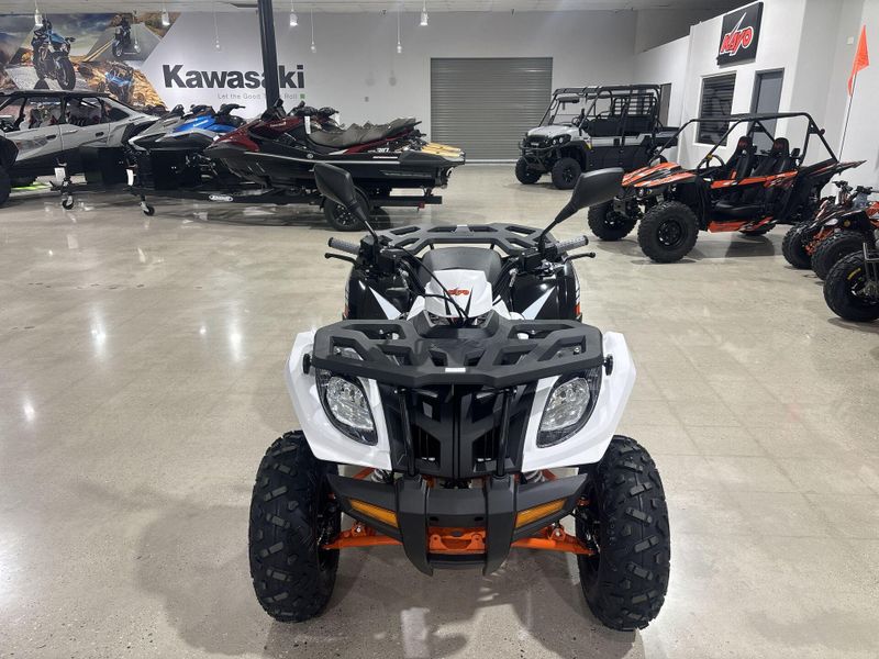 New 2026 Kayo BULL 300 EFI Image 10