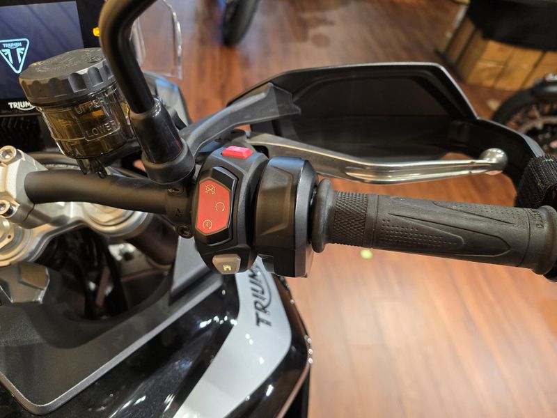 2023 Triumph Tiger 900 GT ProImage 9