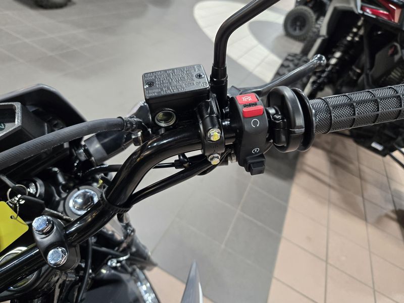 New 2025 Honda XR 150L DUALSPORT GRAY Image 14