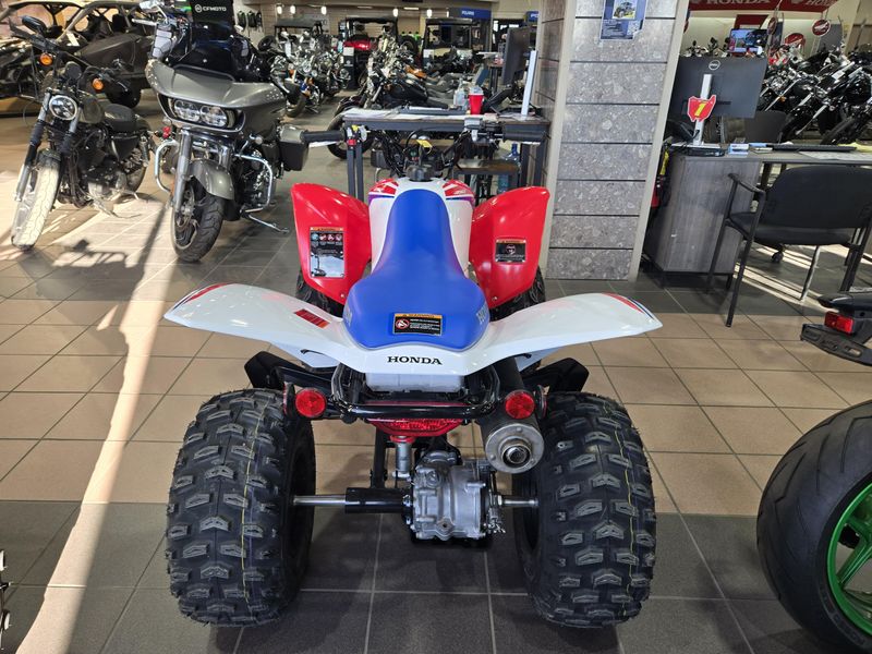 NEW 2026 HONDA TRX250X Image 11