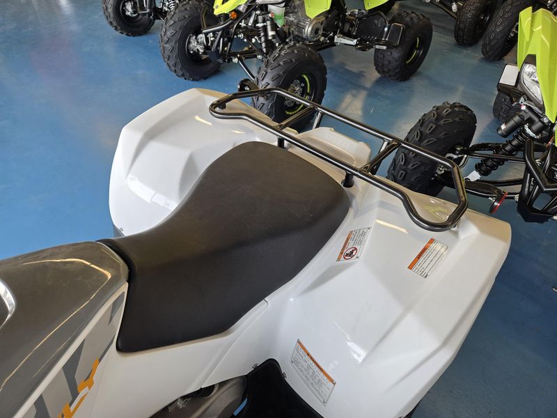 2024 Yamaha GRIZZLY 90 WHITE AND ARMOR GRAY Image 21