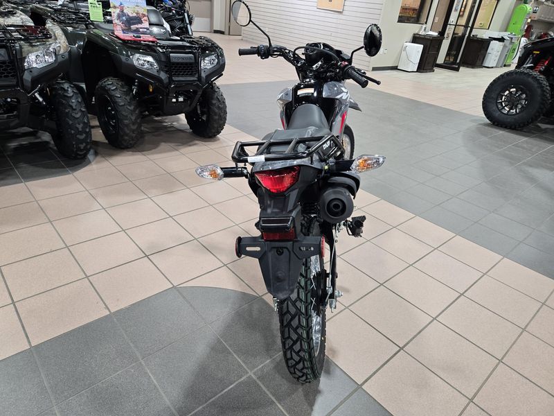 2025 Honda XR 150L DUALSPORT GRAY Image 13