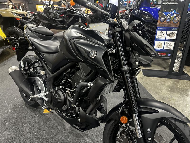 2025 Yamaha MT-03 Image 18