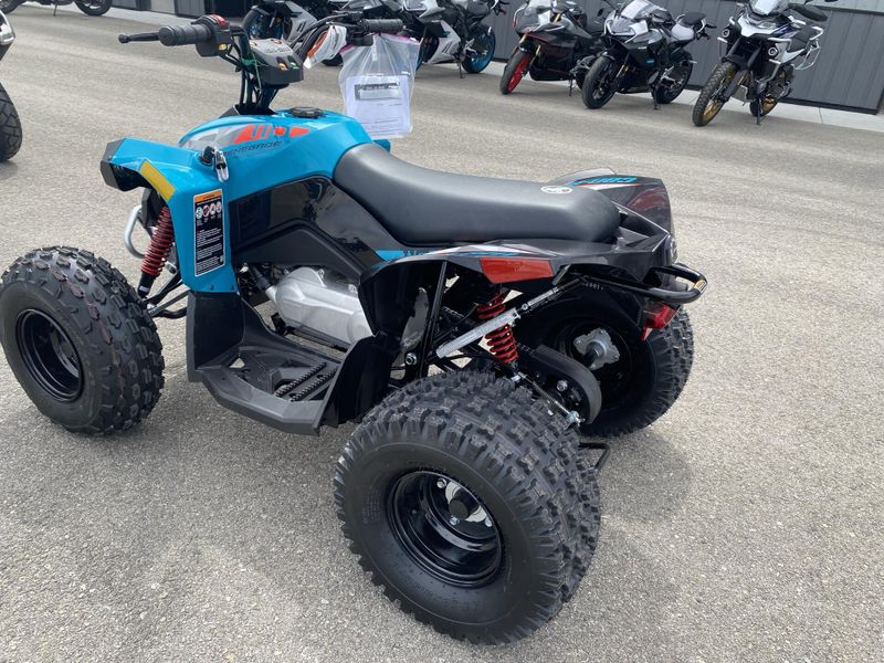 New 2026 Can-Am RENEGADE 110 EFI 