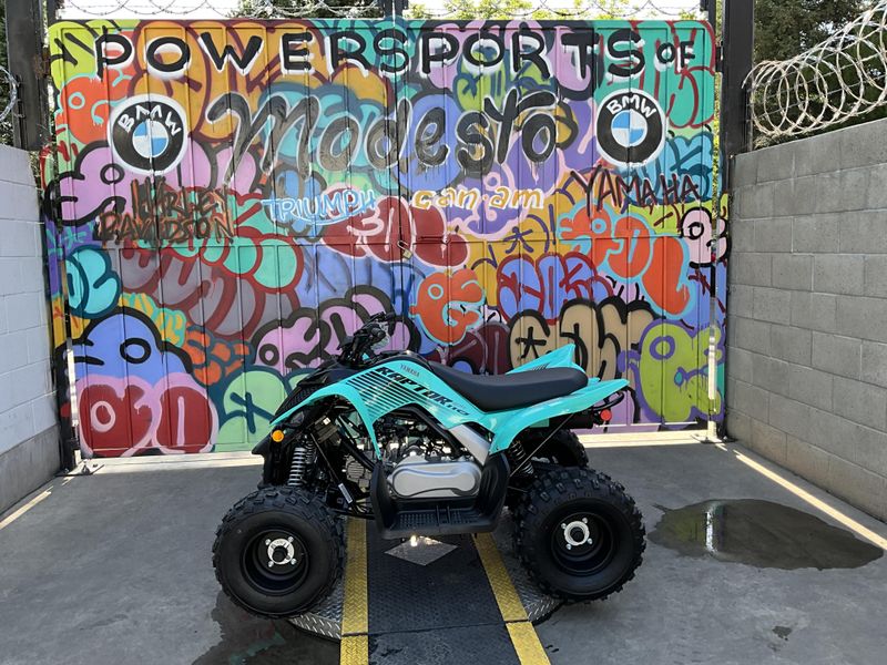 New 2025 Yamaha Raptor 110 Image 2