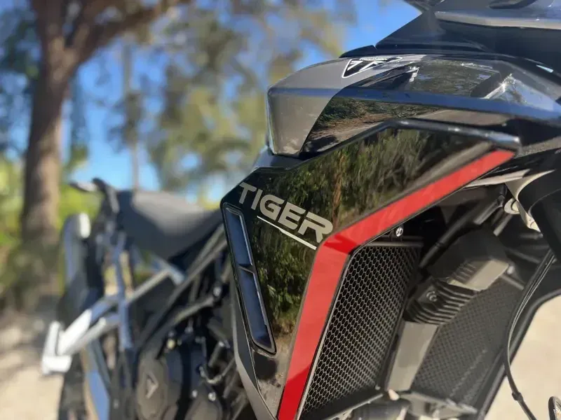 2025 Triumph Tiger 900 GT Pro