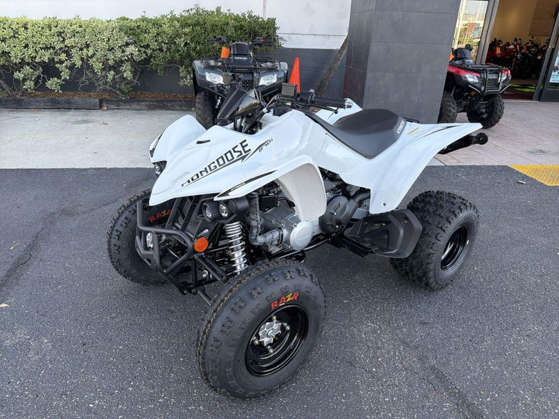New 2026 Kymco MONGOOSE 270I Image 13