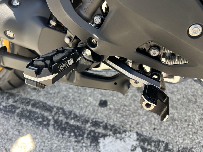 2025 BMW R 1300 GS 