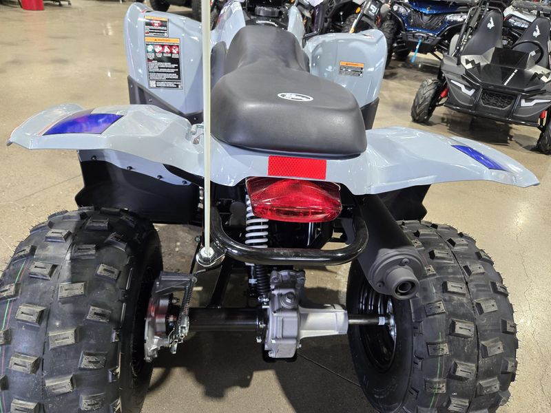 NEW 2026 POLARIS PHOENIX 200 Image 10