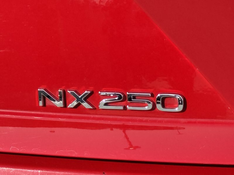 2024 Lexus NX 250Image 13