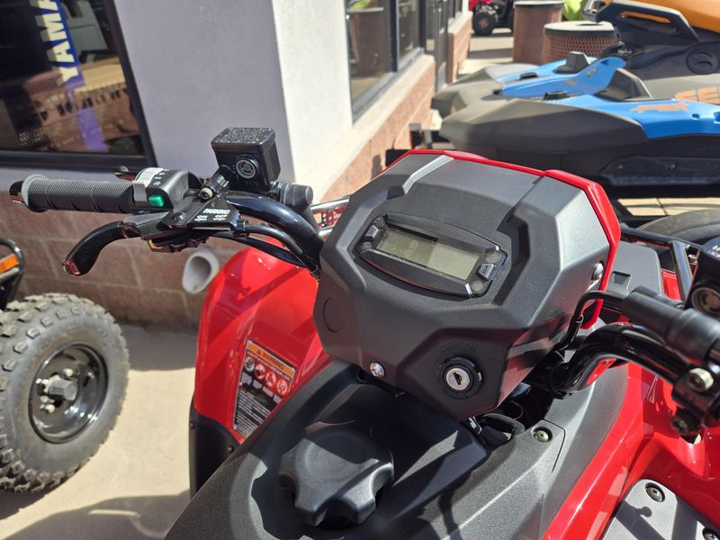 NEW 2026 KAWASAKI BRUTE FORCE 300 Image 8