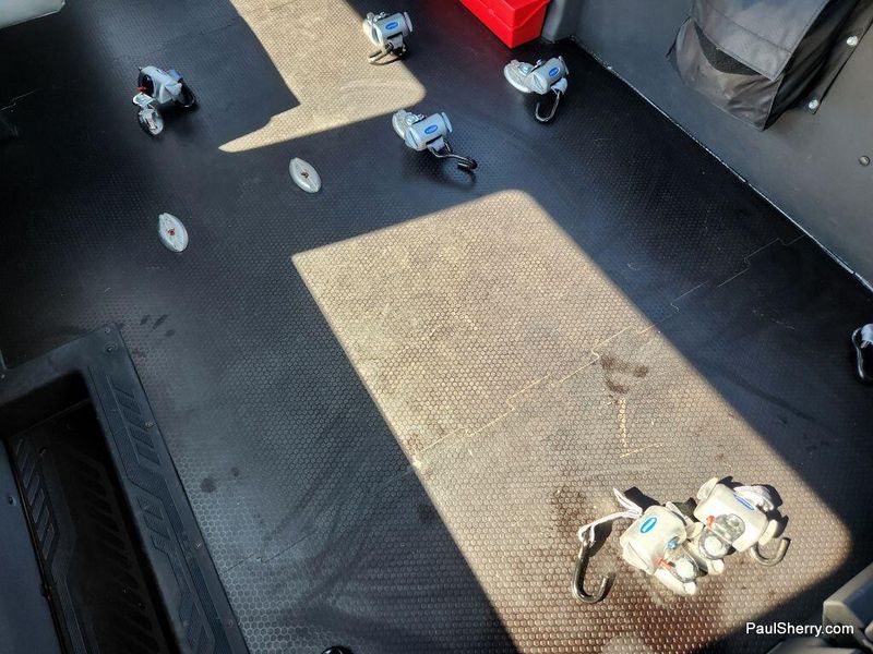 2020 Ford Transit photo 33