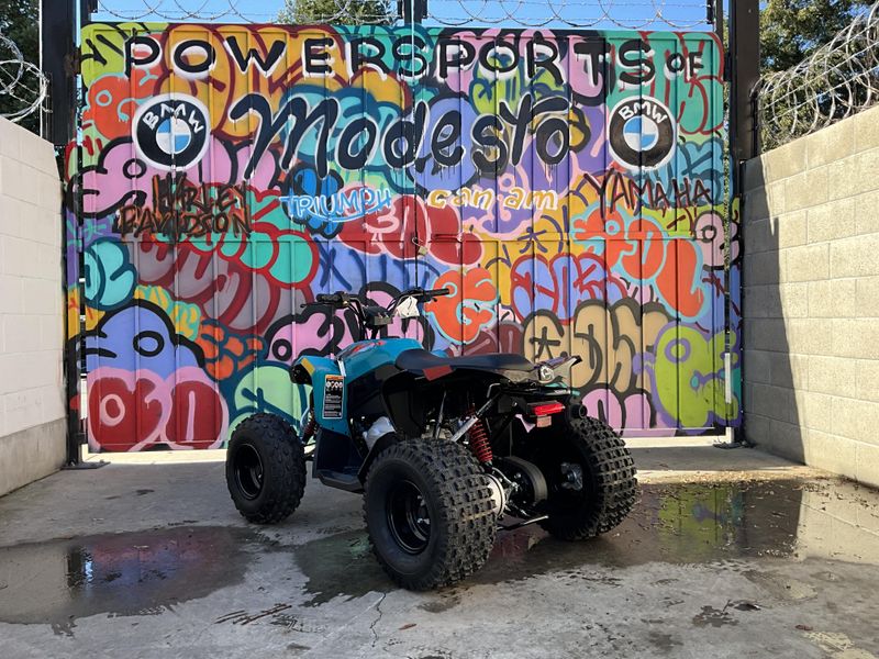 2025 Can-Am RENEGADE 110 Image 4