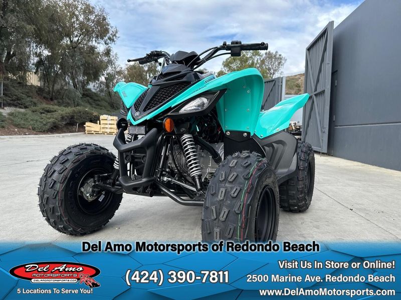 2025 Yamaha RAPTOR 110 Image 7