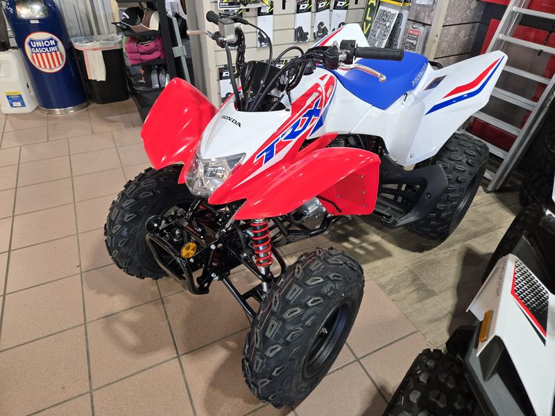 NEW 2026 HONDA TRX 250X Image 3