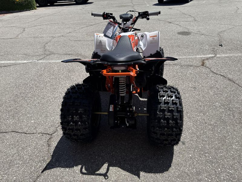 New 2026 Kayo PREDATOR 125 EFI Image 15