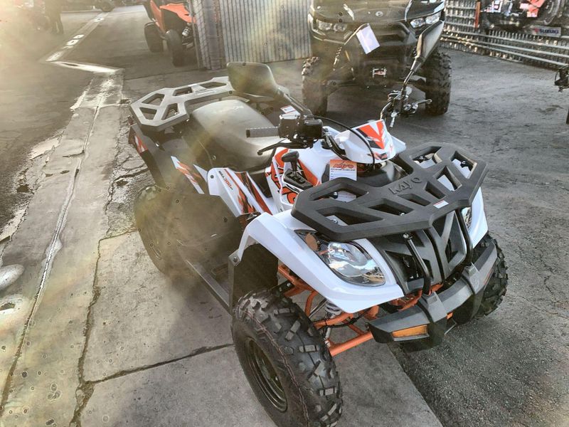 New 2025 Kayo BULL 300 EFI Image 17