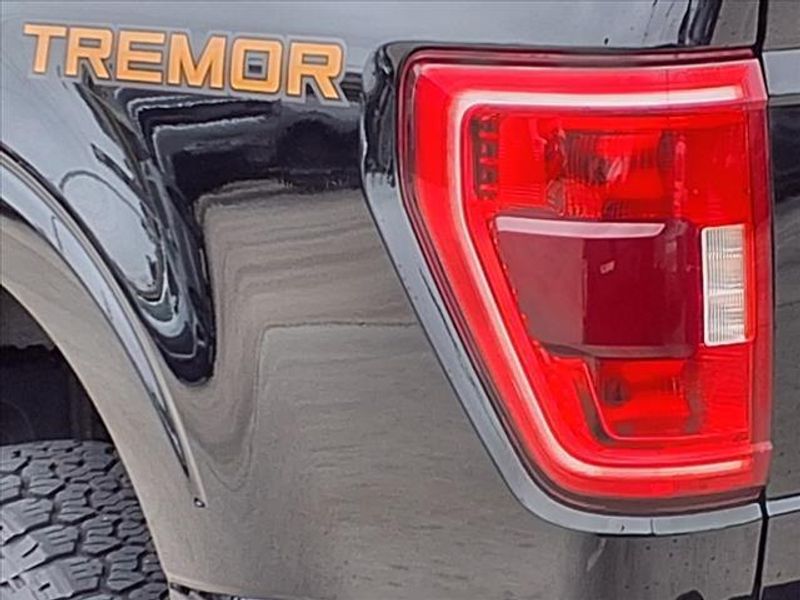 2021 Ford F-150 TremorImage 11