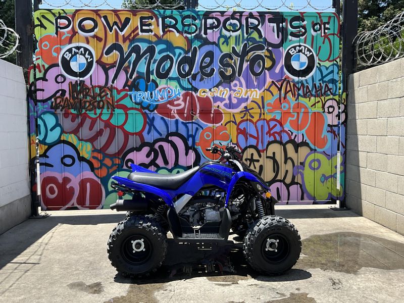 New 2025 Yamaha Raptor 110 Image 4
