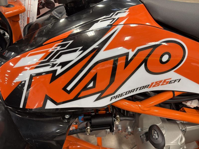 New 2026 Kayo PREDATOR 125 EFI Image 26