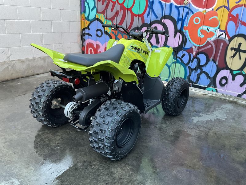 New 2026 Yamaha Raptor 110 Image 4