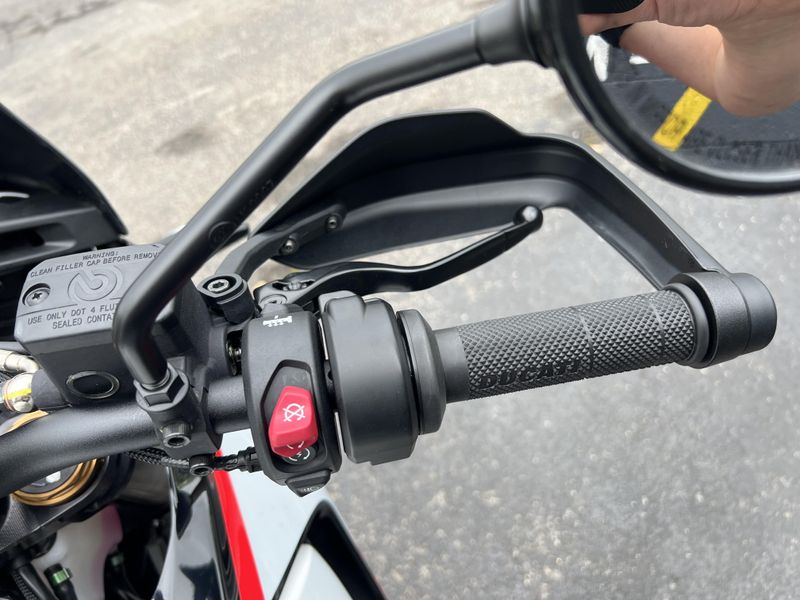 New 2025 Ducati DESERTX RALLY BIANCO 