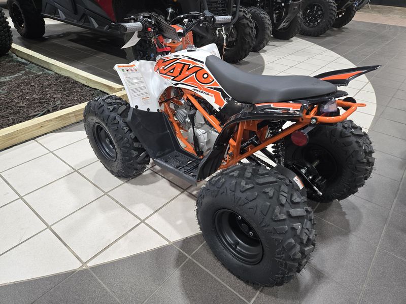 NEW 2025 KAYO PREDATOR 110 Image 5