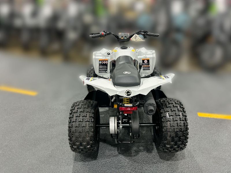 New 2026 Can-Am RENEGADE 110 EFI Image 14