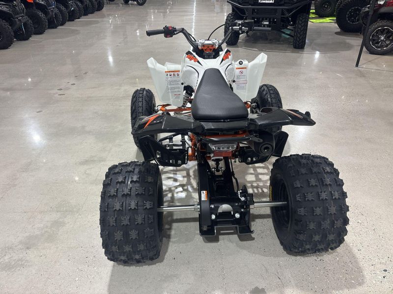 New 2027 Kayo STORM 300 Image 14