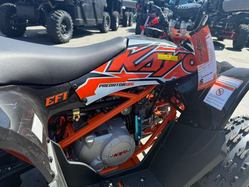 New 2025 Kayo PREDATOR 125 EFI Image 11