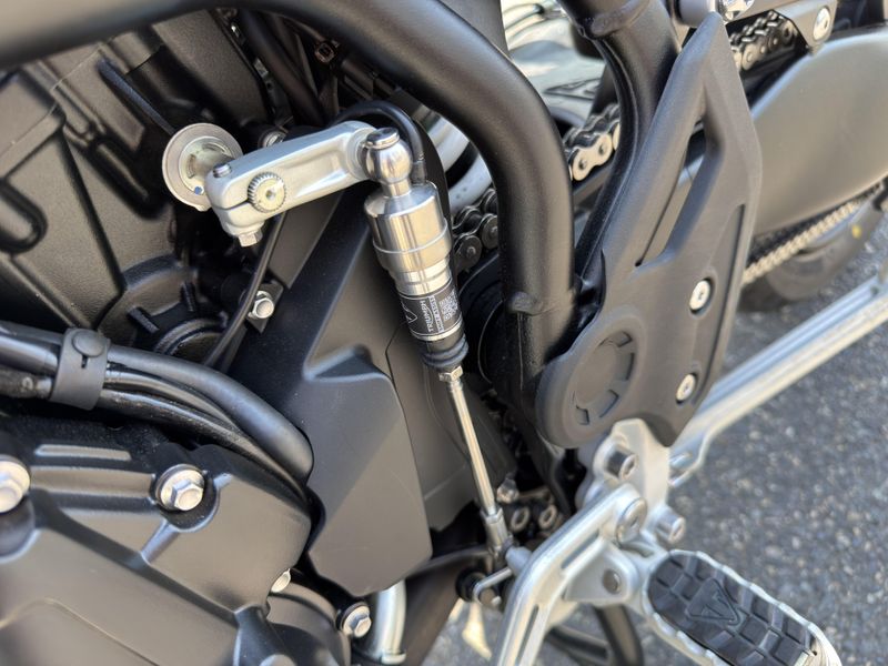 2025 Triumph Tiger 900 Rally Pro - ASH GREY - INTENSE ORANGE 
