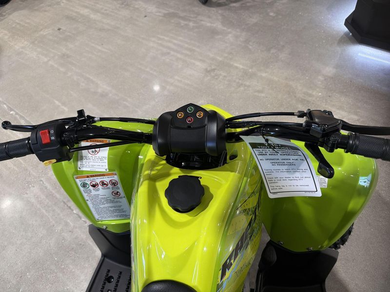 New 2026 Yamaha RAPTOR 110 Image 23