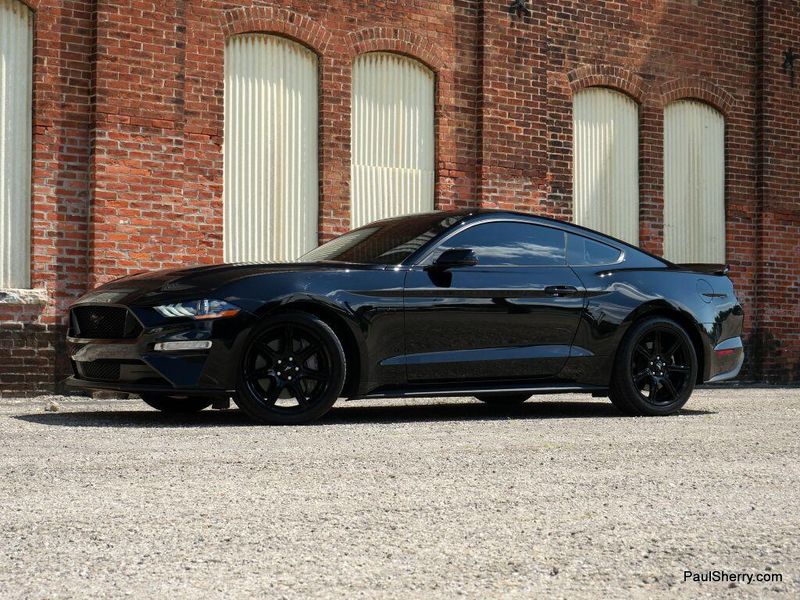 Used 2019 Ford Mustang GT Premium BlackImage 7