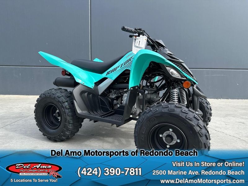 2025 Yamaha RAPTOR 110 Image 1