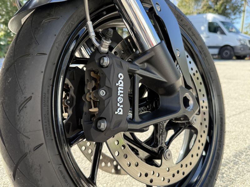 2024 BMW F 900 R Low