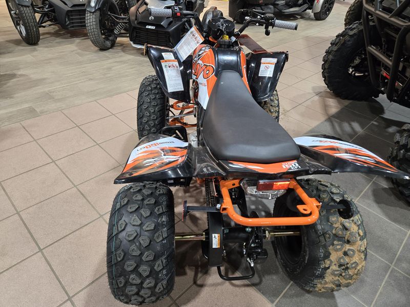 NEW 2026 KAYO STORM 150 EFI Image 5