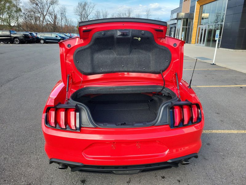 Used 2023 Ford Mustang EcoBoost PremiumImage 13