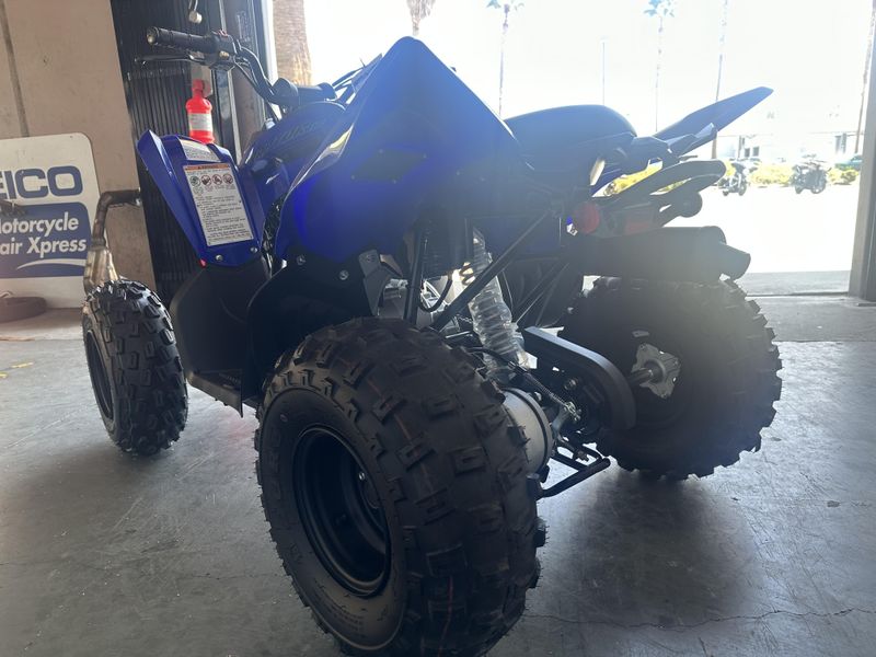 2025 Yamaha RAPTOR 110 Image 7