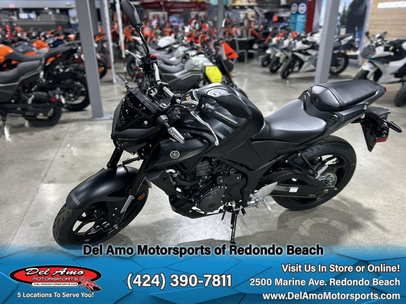 2025 Yamaha MT-03 Image 5