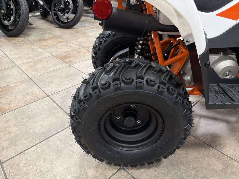 New 2026 Kayo STORM 70 Image 19