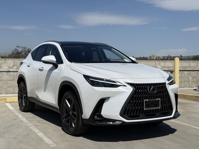 2025 LEXUS NX 450 450h+ LuxuryImage 2