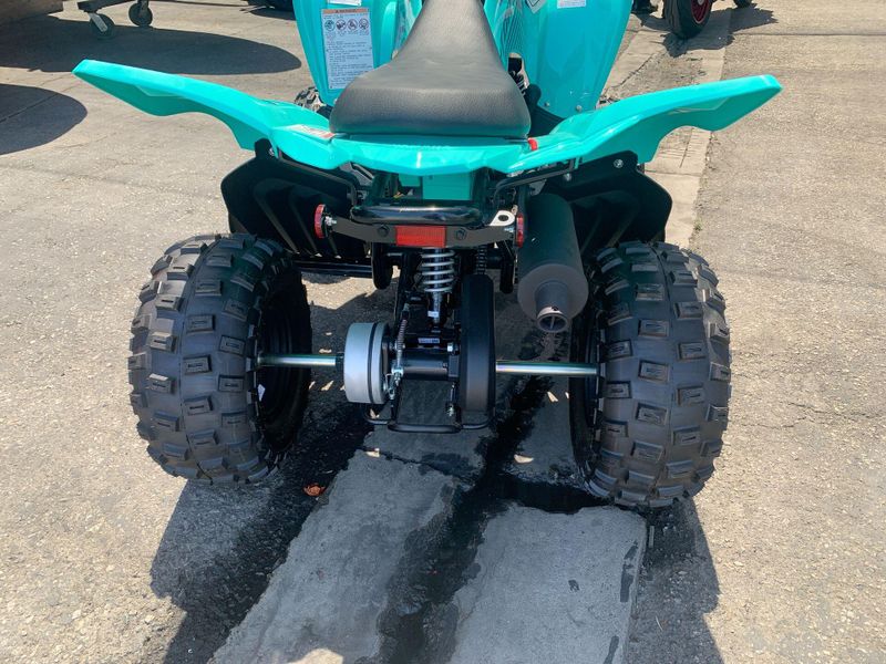 New 2025 Yamaha RAPTOR 110 Image 17
