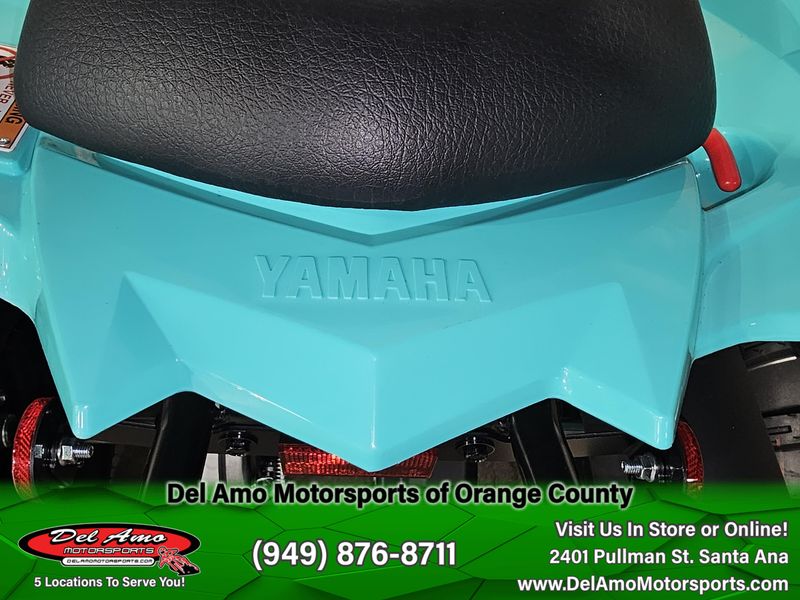 New 2025 Yamaha RAPTOR 110 Image 14