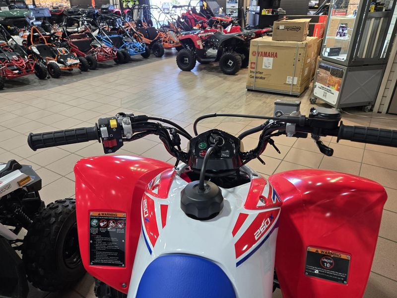 NEW 2026 HONDA TRX 250X Image 10